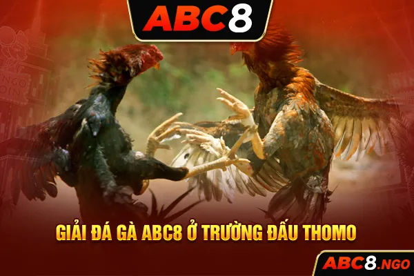 Giải đá gà ABC8 ở trường đấu Thomo